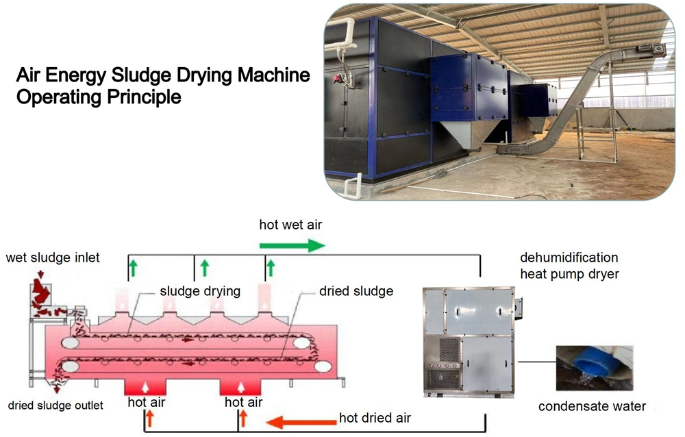 Heat Pump Low Temperature Scrap Conveyor Sludge Dryer